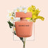 Narciso Rodriguez Ambree - Parfum Gallerie