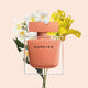 Narciso Rodriguez Ambree - Parfum Gallerie