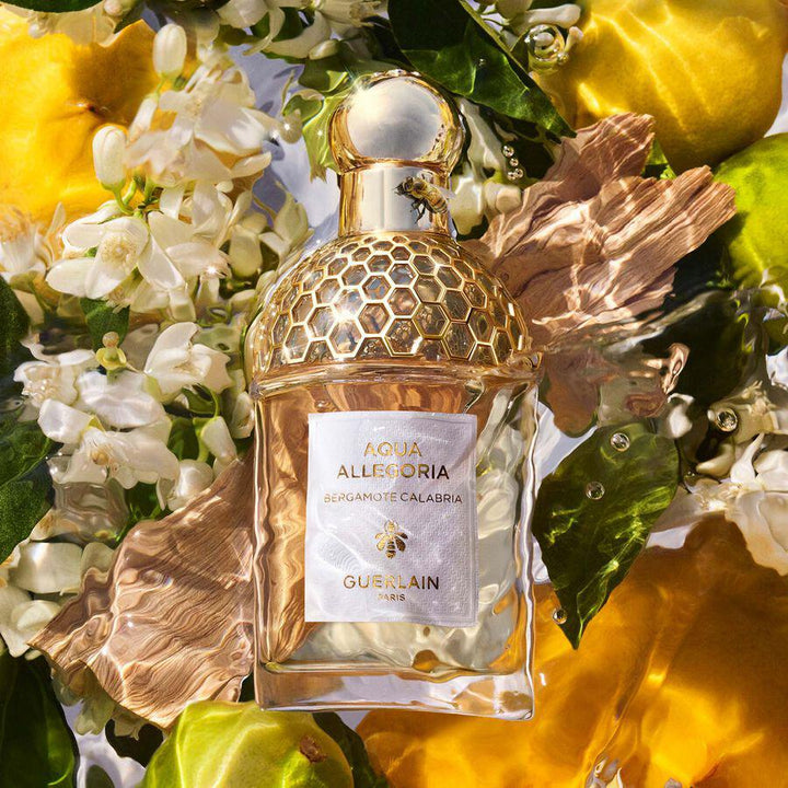 Top 5 Citrus Perfumes to Refresh Your Scent Wardrobe