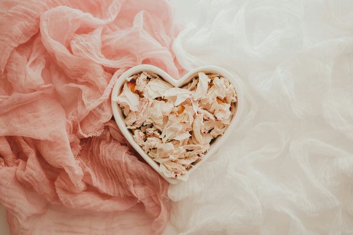 Valentine’s Day Perfume Gift Guide for Her 2026