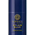 Versace Pour Homme Dylan Blue Deodorant Stick - Parfum Gallerie