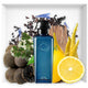 Eau De Citron Noir - Parfum Gallerie