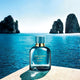 D & G Light Blue Forever Pour Homme - Parfum Gallerie