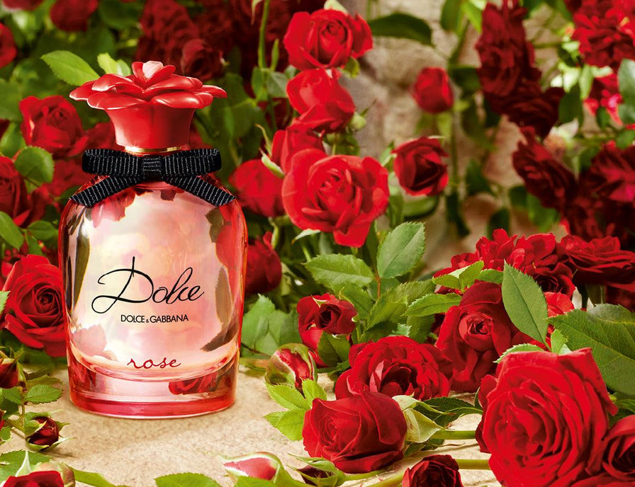 Dolce & Gabbana Rose - Parfum Gallerie