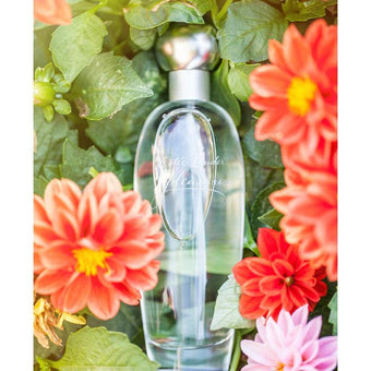 Pleasures by Estee Lauder - Parfum Gallerie