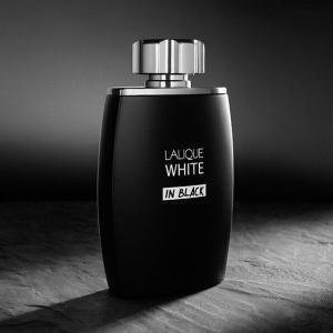 Lalique White in Black Eau de Parfum for Men - Parfum Gallerie