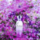 Pleasures Intense - Parfum Gallerie